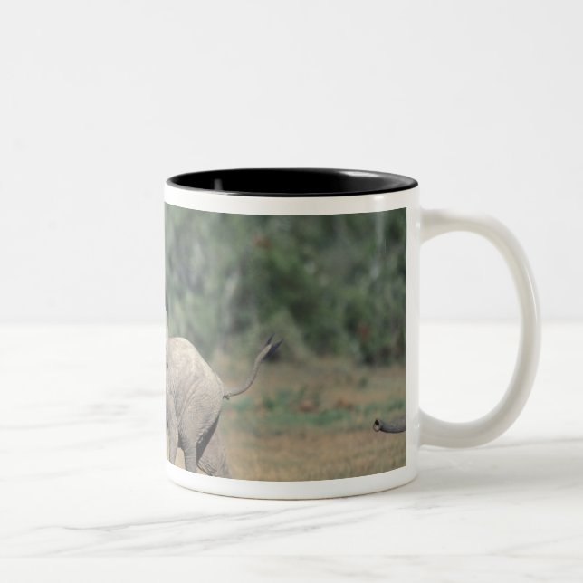 South Africa, Addo Elephant Nat'l Park. Baby Two-Tone Coffee Mug (Right)