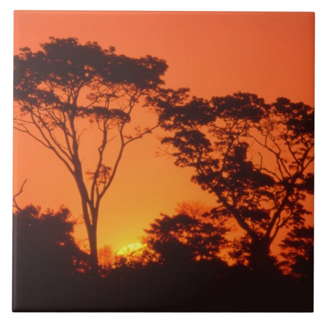 South Africa.  African sunset. Ceramic Tile (Front)