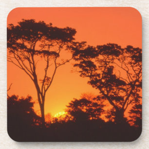 South Africa.  African sunset. Coaster