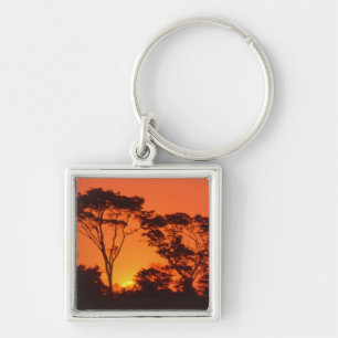 South Africa. African sunset. Key Ring