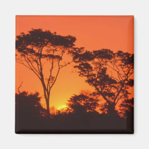South Africa.  African sunset. Magnet
