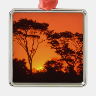South Africa.  African sunset. Metal Ornament