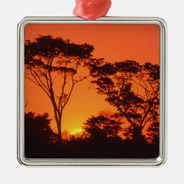 South Africa.  African sunset. Metal Ornament (Front)