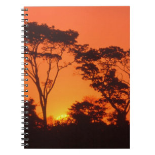 South Africa. African sunset. Notebook