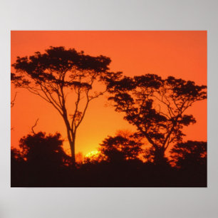 South Africa.  African sunset. Poster