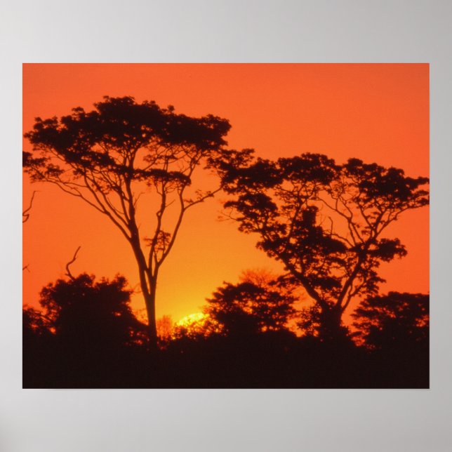 South Africa.  African sunset. Poster (Front)