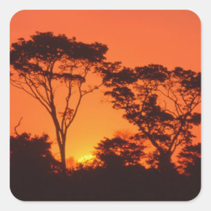South Africa. African sunset. Square Sticker