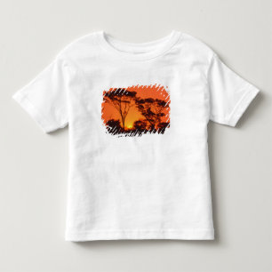South Africa. African sunset. Toddler T-Shirt