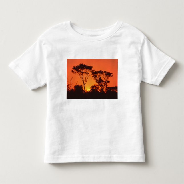 South Africa.  African sunset. Toddler T-Shirt (Front)