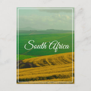 South Africa Canola Fields Hills Landscape Nature Postcard