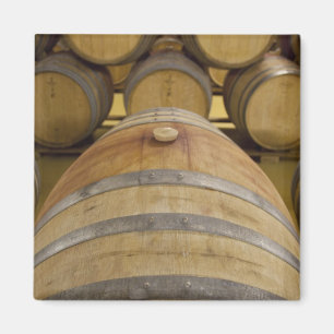 South Africa, Cape Town. Stellenbosch wine area, Magnet