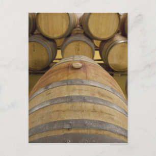 South Africa, Cape Town. Stellenbosch wine area, Postcard