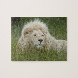 South Africa, East London, Inkwenkwezi Private Jigsaw Puzzle