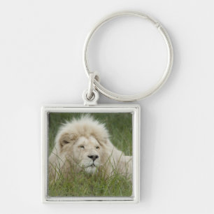 South Africa, East London, Inkwenkwezi Private Key Ring