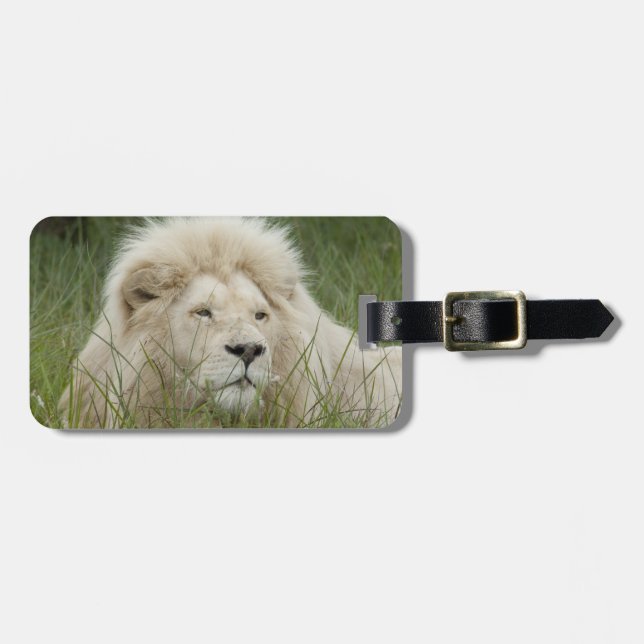 South Africa, East London, Inkwenkwezi Private Luggage Tag (Front Horizontal)