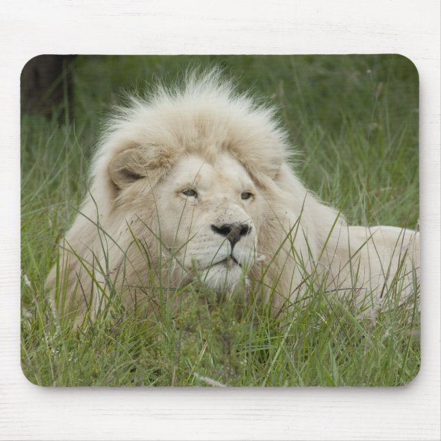 South Africa, East London, Inkwenkwezi Private Mouse Pad (Front)