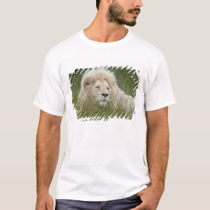 South Africa, East London, Inkwenkwezi Private T-Shirt