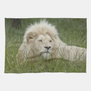 South Africa, East London, Inkwenkwezi Private Tea Towel