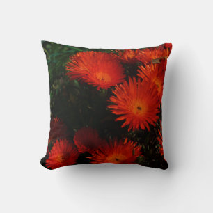 South Africa Green Orange Succulent Flowers Cushion