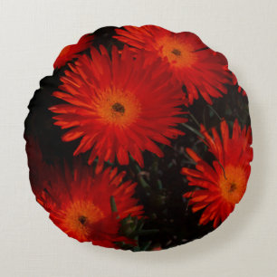South Africa Green Orange Succulent Flowers Round Cushion
