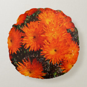 South Africa Green Orange Succulent Flowers Round Cushion