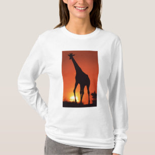 South Africa, Kruger NP.  Giraffe (Giraffa T-Shirt