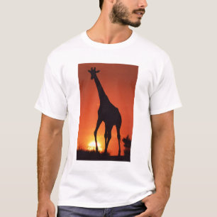 South Africa, Kruger NP. Giraffe (Giraffa T-Shirt