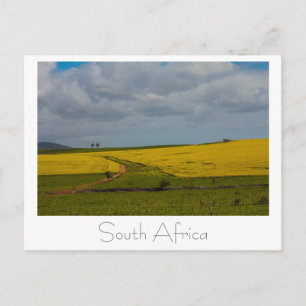 South Africa Landscape Nature Scenery Postcard