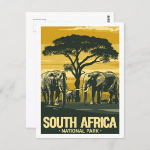 South Africa National Park Vintage Travel Place Postcard