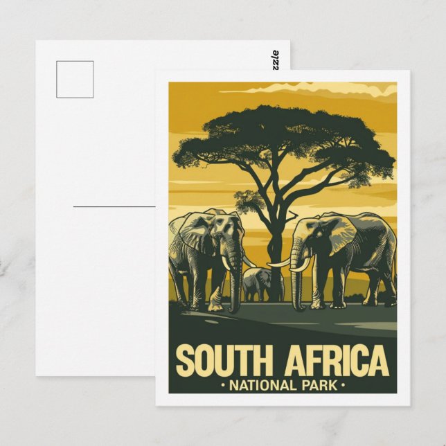 South Africa National Park Vintage Travel Place Postcard (Front/Back)