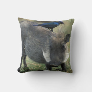 South Africa, Pilanesburg GR, Warthog Cushion
