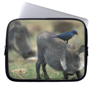South Africa, Pilanesburg GR, Warthog Laptop Sleeve