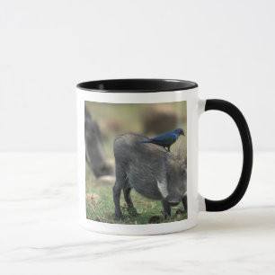 South Africa, Pilanesburg GR, Warthog Mug