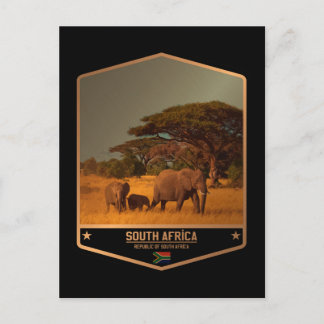 South Africa Postcard