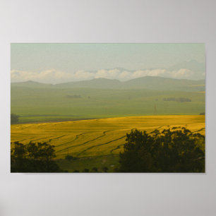 South Africa Rural Landscape Canola Fields Poster