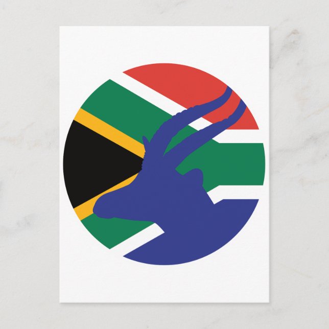 South Africa Springbok Antelope South African Postcard (Front)