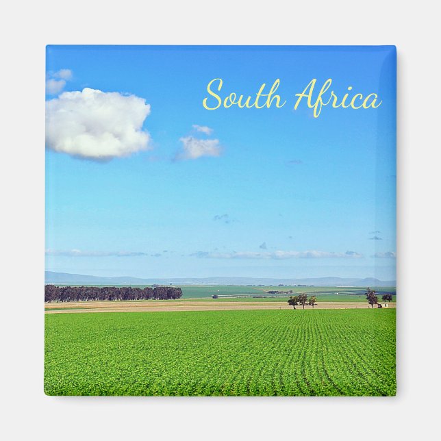 South Africa Vineyard Fields Landscape Magnet (Front)