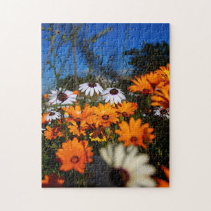 South Africa Wild Namaqualand Flowers Jigsaw Puzzle