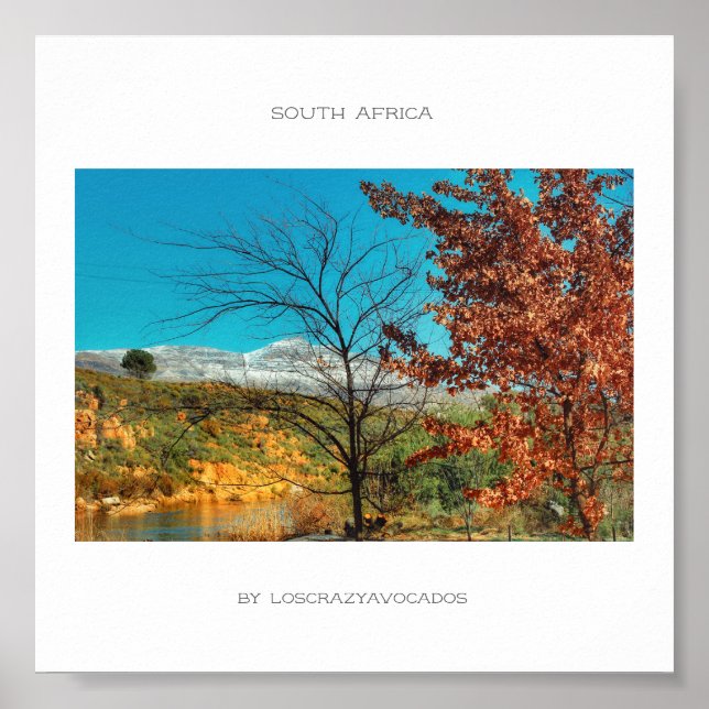 South Africa Winter Autumn Landscape Snow Poster (Front)