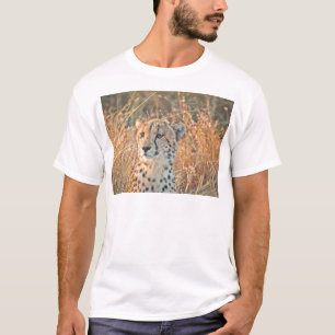 South African Cheetah searches for food T-Shirt
