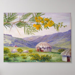 South African Doonboon and Huts Marianne North Poster
