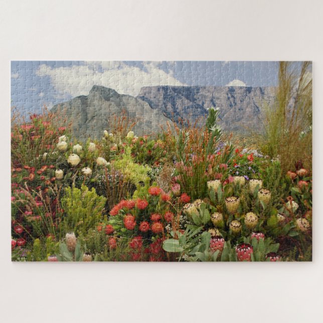 South African floral display of wildflowers Jigsaw Puzzle (Horizontal)