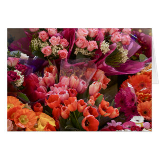 South African Flower Market