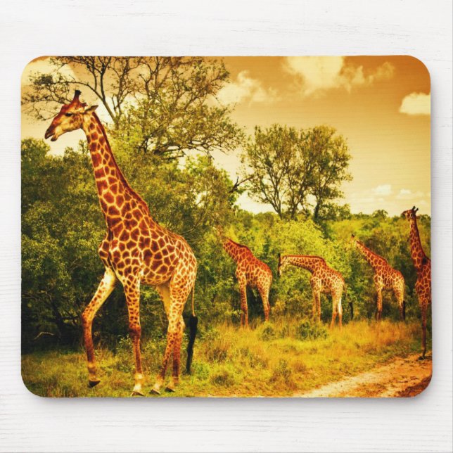 South African giraffes Mouse Pad (Front)