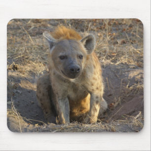 South African Hyena Mouse Pad