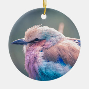 South African Lilac-Breasted Roller Ceramic Tree Decoration