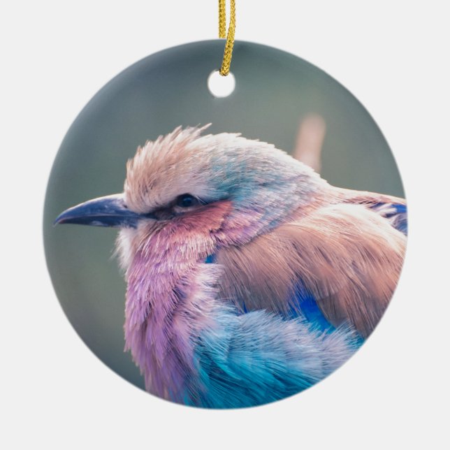 South African Lilac-Breasted Roller Ceramic Tree Decoration (Front)