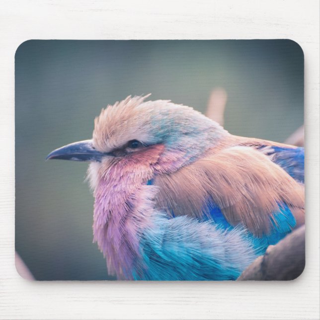 South African Lilac-Breasted Roller Mouse Pad (Front)