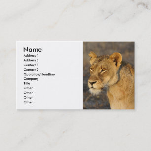 South African Lion Business Card
