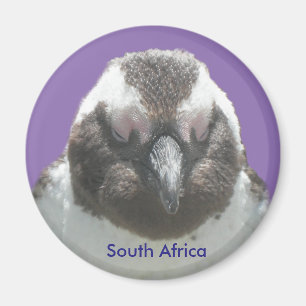 South African Penguin Face Customisable Magnet